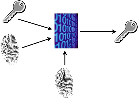 Revocable Biotokens